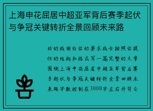 上海申花屈居中超亚军背后赛季起伏与争冠关键转折全景回顾未来路